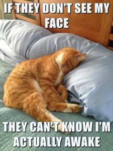 An orange cat with some white markings laying on his side on a bed, his head turned with face buried in a pillow. Text: If they don't see my face they can't know I'm actually awake.