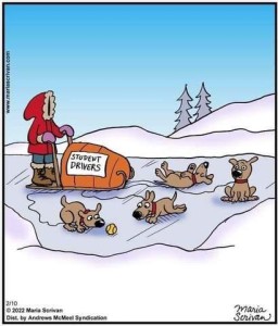Cartoon of an eskimo on a sled with a "Student Drivers" sign on it. Attached to the front are 4 puppies frolicking in the snow.