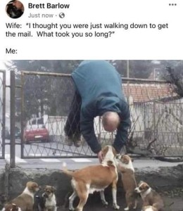 Wife: "I thought you were just walking down to get the mail. What took you so long?" Me: Photo of a man hanging over a fence, his feet a foot off the ground on one side, to reach over and pet a dog and some puppies on the other. Wife: "I thought you were just walking down to get the mail. What took you so long?" Me: