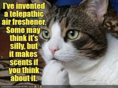 A white cat with gray and black about his head has one paw under his chin as if thinking. Text: I've invented a telepathic air freshener. Some may think it's silly, but it makes scents if you think about it.