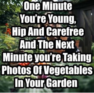 One minute you're young, hip and carefree and the next minute you're taking photos of vegetables in your garden.