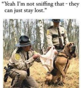 Two officers with a bloodhound in the woods, one officer is holding up a pair of dirty underpants and the dog is looking away, giving the clothing a side glance. Text: "Yeah I'm not sniffing that - they can just stay lost!"