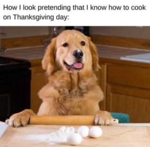 Title: How I look pretending that I know how to cook on Thanksgiving Day: Photo of a golden retriever in a kitchen, front paws on a rolling pin at the edge of the counter, with a pile of flour and 3 eggs in front of him.