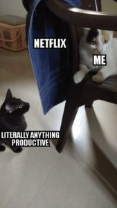 Photo of 2 cats and a chair. There is a towel over the back of the chair, with the word NETFLIX on it. On the left side of the chair is a black cat staring at the towel with the words LITERALLY ANYTHING PRODUCTIVE. In the chair is a calico cat, ignoring the towel, with the word ME.