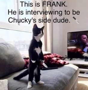 A black and white tuxedo cat standing straight up on a davenport, holding a knife. Text: This is FRANK. He is interviewing to be Chucky's side dude.