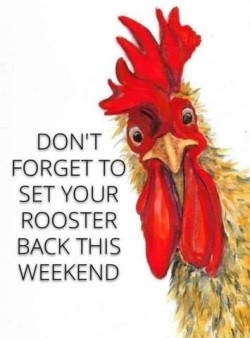 Silly drawing of a colorful rooster, with the words, "Don't forget to set your rooster back this weekend!"