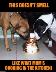 Photo of a brown dog and a black and white dog sniffing a stuffed turkey decoration between them. Caption: This doesn't smell like what mom's cooking in the kitchen!