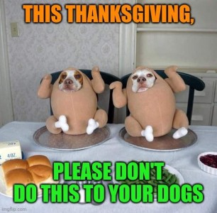 Photo of two dogs with stuffed turkeys sitting up on platters in front of them on a table; there are holes where the turkey's head would be, and the dog's faces are looking out those holes. There is also cranberry sauce, green beans, and rolls and butter on the table. Caption: This Thanksgiving, please don't do this to your dogs.