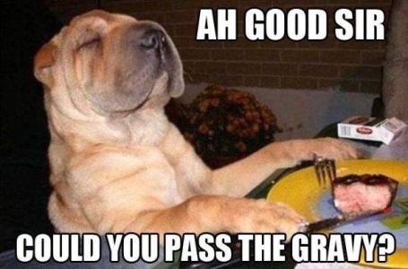Photo of a SharPei sitting at the table, his paws on his fork and knife, with a piece of steak on the plate in front of him. He is looking slightly upward with a supercilious look on his face. Caption: Ah good sire, could you pass the gravy?