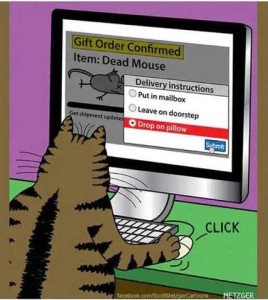 Cartoon of a cat at a computer, clicking the mouse. The screen shows Gift Order Confirmed - Item: Dead Mouse. Delivery instructions: put in mailbox, leave on doorstep, or drop on pillow; the last option is ticket and the cat is clicking on Submit.