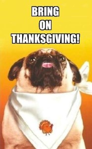 Photo of a pug looking up with his tongue sticking out, against a yellow background; he is wearing a white cloth napkin tied at the neck, with a turkey on the front of it. Caption: Bring on Thanksgiving!