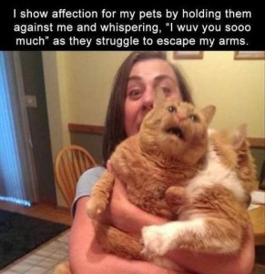 A woman holding 2 big squirming orange cats, mouth open (both her and one of the cats). Text: I show affection for my pets by holding them against me and whispering, "I wuv you soooo much" as they struggle to escape my arms.