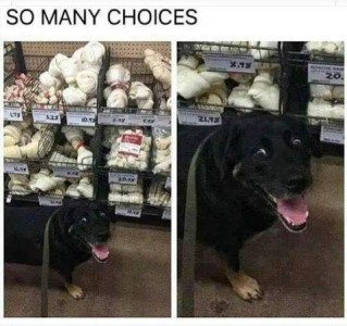 Two frames of a black dog in a pet store standing in front of a big display of rawhide bones. The 2nd frame shows a close-up of the dog's face, with a big grin on it. Caption: So many choices!