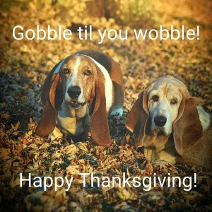 Photo of 2 hefty basset hounds standing in the fallen autumn leaves. Caption: Gobble til you wobble! Happy Thanksgiving!