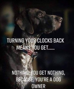 Side photo of a dog's head in shadow. Text: Turning your clocks back means you get...... Nothing! You get nothing, because you're a dog owner