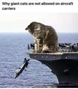 A HUGE cat sitting on the front of an aircraft carrier, looking down toward the sea; a plane is about to plunge into the water. Caption: Why giant cats are not allowed on aircraft carriers.