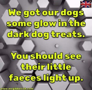 Against a gray geometric background are the words, "We got our dogs some glow in the dark dog treats. You should see their little feces light up" in neon green.
