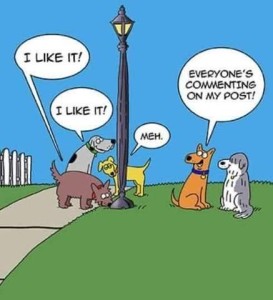 Cartoon of a lamp post with several dogs sniffing its base and commenting, "I like it!" "I like it!" "Meh" Off to the side another dog is talking to his friend, saying, "Everyone's commenting on my post!"