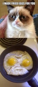 Top photo is a head shot of Grumpy Cat, with the caption, "I made fried eggs for you." Bottom photo is two fried eggs in a pan, with the yolks as his eyes and the whites arranged with wrinkles so as to look like a grumpy face.