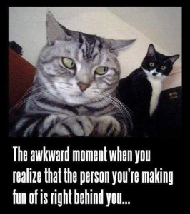 Closeup photo of a silver and black tabby, eyes to the side as if trying to see behind him without moving his head; behind him is a black and white cat looking down at him. Text: That awkward moment when yourealize that the person you're making fun of is right behind you...