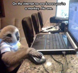 Photo of a cute little monkey wearing a shirt, sitting at a desk using a laptop, one paw on the mouse. Caption: "On the internet no one knows you're a monkey. No one."