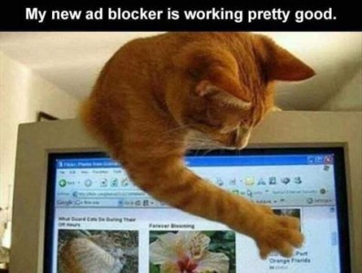 Photo of an orange cat behind a computer monitor, leaning over the top, his right front paw covering an item on the screen. Caption: My new ad blocker is working pretty good.
