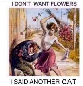 picture of a woman beating a man over the head with a bouquet of flowers as he is bent away from her, hands protecting his face. Caption: I don't want flowers, I said another cat"