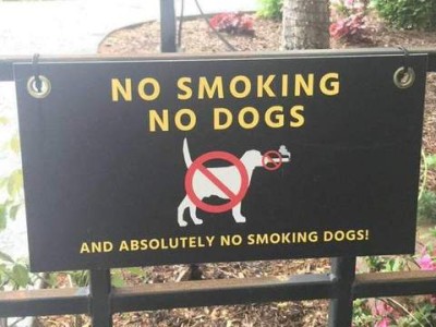 Photo of a sign that says, "No smoking. No dogs." then a picture of a dog smoking a cigarette with a red circle/diagonal line through it. At the bottom the sign says, "And absolutely no smoking dogs!"