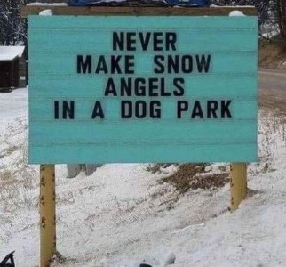Photo of a sign that says, "Never make snow angels in a dog park."