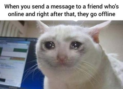 Photo of a white cat with tears in his eyes. A computer screen is in the background. Caption: When you send a message to a friend who's online and right after that, they go offline.