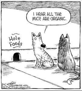 Cartoon of 2 cats talking in front of a mouse hole in the baseboard of a wall; over the mouse hole are the words, "Hole foods". One mouse is telling the other, "I hear all the mice are organic."