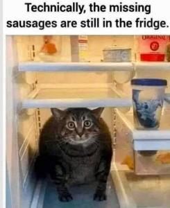 Photo of a fat cat sitting on an empty shelf in a refrigerator. Caption: Technically, the missing sausages are still in the fridge.