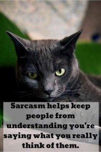 Photo of the face of a black cat looking contemplative, in a grumpy sort of way. Caption: Sarcasm help keep people from understanding you're saying what you really think of them.