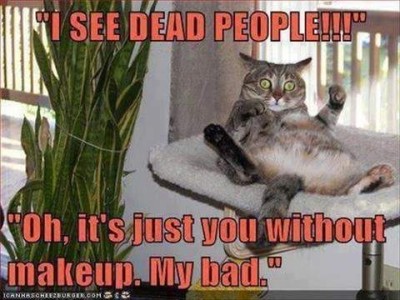 A gray tabby cat laying on his back eyes wide, head and paws up, on a pillow. Text: "I see dead people!!!" "Oh, it's just you without makeup. My bad."