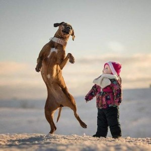 Photo of a brown dog and a baby on a snowy field. The toddler is dressed up in snow pants and jacket, a scarf and hat, looking up at the dog that is towering over the baby as he dances on his hind legs.