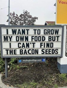 A sign that says, "I want to grow my own food but I can't find the bacon seeds."
