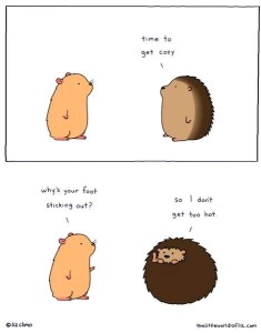 Cartoon of 2 little critters talking. One is a hedgehog; the other is similar but not spiny, just a tan animal of similar size. 1st frame the hedgehog is saying, "Time to get cozy". 2nd frame he is curled up in a ball with his face and one foot sticking out. The other critter is asking him, "Why's your foot sticking out?" Hedgehog replies, "So I don't get too hot."