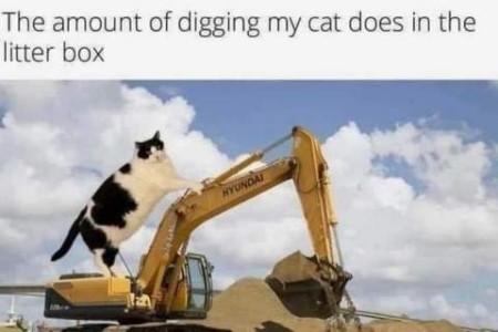 A cat photoshopped to look as if he's standing on a huge digger, and is almost as big. Text: The amount of digging my cat does in the litter box.