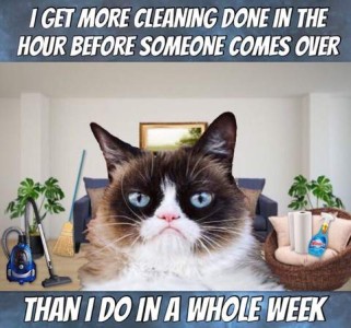 Closeup photos of a grumpy cat doppleganger looking at the camera; superimposed over a room with cleaning supplies also superimposed around him. Caption: I get more cleaning done in the hour before someone comes over than I do in a whole week.