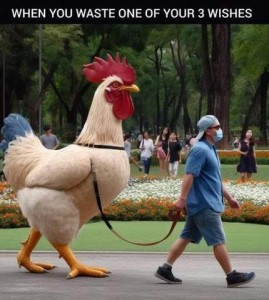 A man walking through a park with a huge rooster at the end of a leash as people stare in the background. Caption: When you waste one of your 3 wishes.