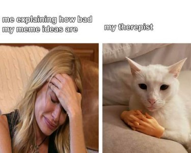 2 frames: first frame is a photo of a young blond woman crying, head in her hands, with the caption, "me explaining how bad my meme ideas are." Second frame is a white cat wearing little rubber human hands on his front paws, which are crossed in front of him, under his chin, as he lays on pillows, with the caption, "My therapist."