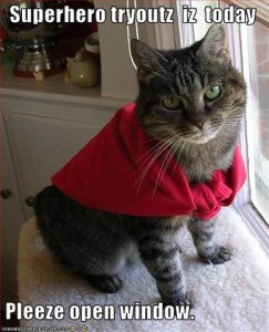 Photo of a gray and black tabby cat sitting in front of a window, wearing a red sweater over his shoulders and back; Caption: Superhero tryoutz iz today. Pleeze open window.
