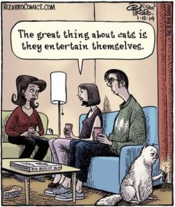 Cartoon of a couple sitting on a davenport in a living, talking to a woman sitting across from them in a chair; they are telling her, "The great thing about cats is they entertain themselves." Meanwhile their cat is sitting next to them holding a lit candle to the hem of the drapes.