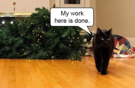 Photo of a Christmas tree laying on a floor, with a black cat walking away from it; speech bubble says, "My work here is a done."