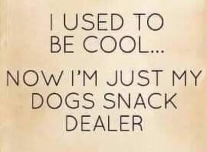 Text only: I used to be cool...now I'm just my dogs snack dealer