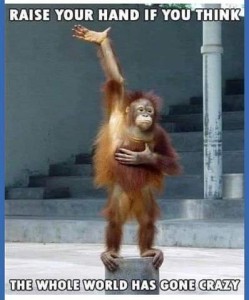 Photo of an orangutan standing with his right arm straight up in the air and his left hand on his chest. Caption: Raise your hand if you think the whole world has gone crazy.