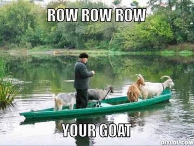 Photo of an elderly man standing in a long boat with 4 goats on board, in a river. Caption: Row row row you goat.