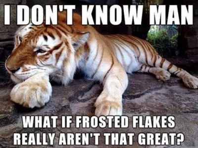 Photo of a tiger laying on a rock. Caption: I don't know, man...what if frosted flakes really aren't that great?