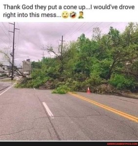 Photo of a huge tree that had fallen across a road, with a little orange traffic cone sitting in front of it. Caption: Thank God they put a cone up...I would've drove right into this mess!