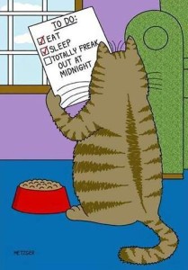 Cartoon of a cat, his back to the reader, a bowl of food in front of him, holding a piece of paper which says, "To do: Eat (checked), Sleep (checked), Totally freak out at midnight (not checked).